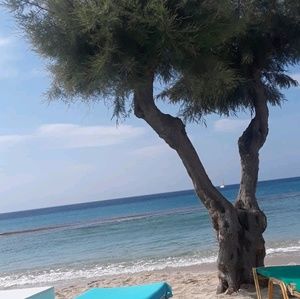 Meet your Posher, Roxana